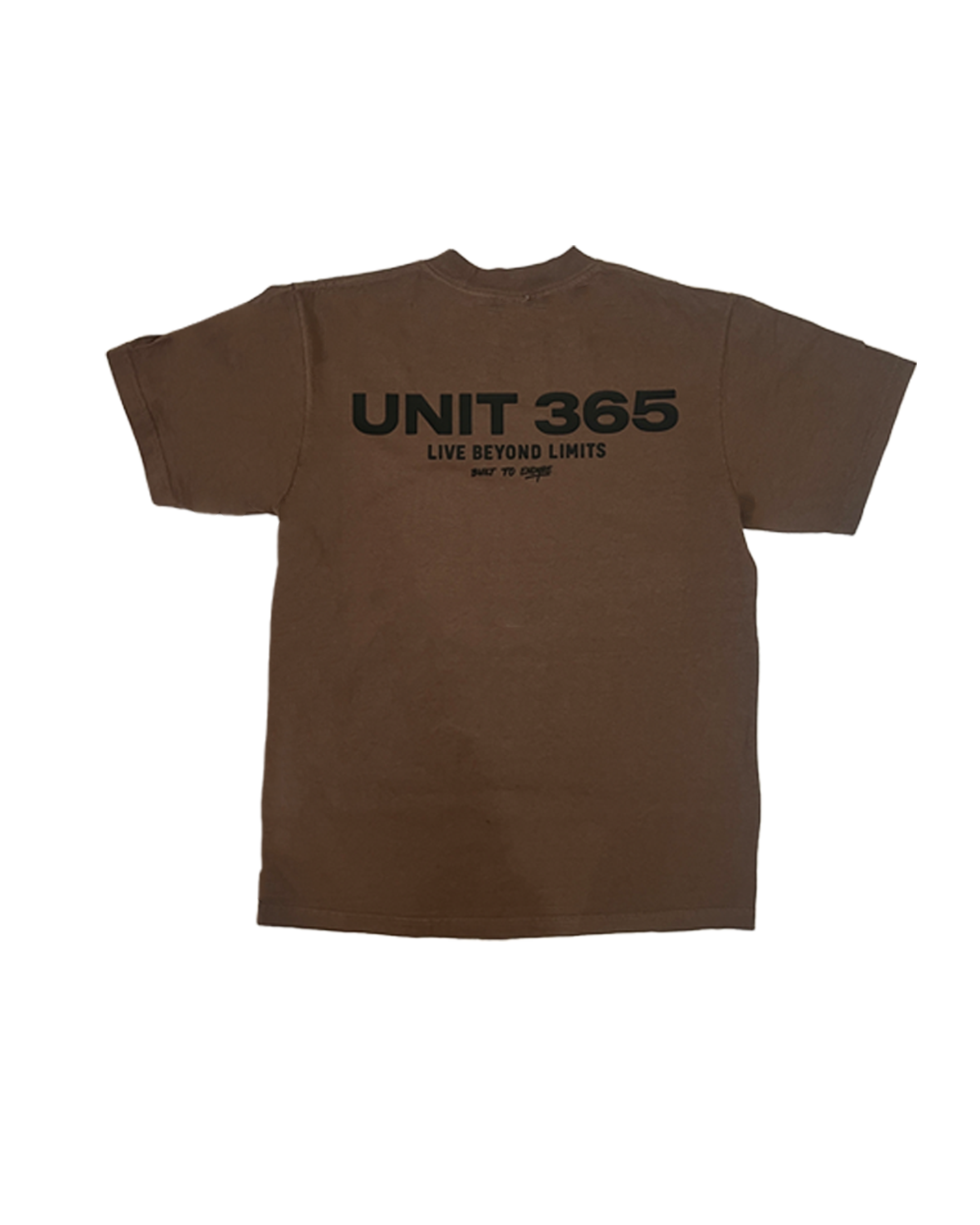 Signature Oversized Tee back